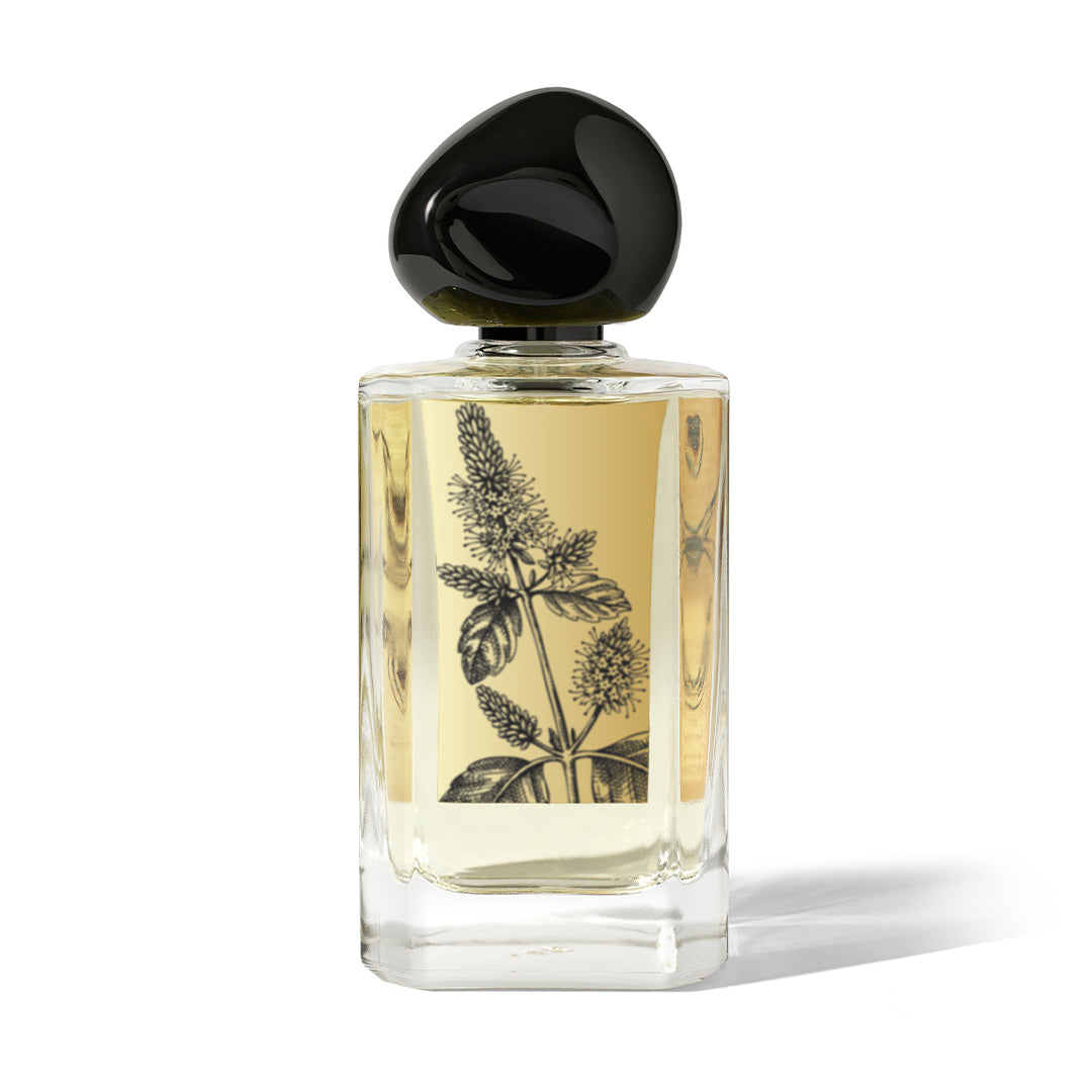 Midnight Patchouli- Clean Perfume (Parfum)