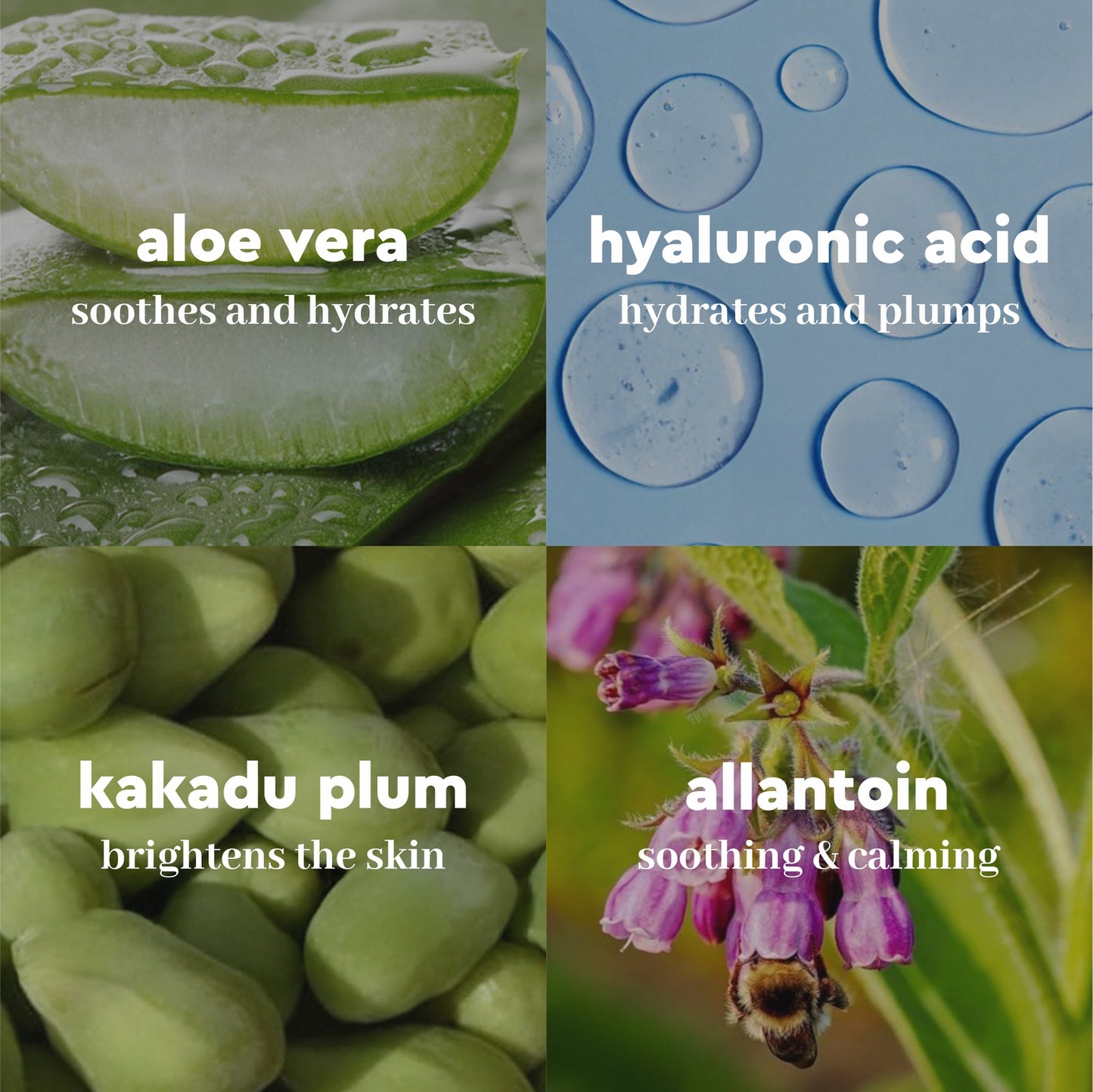 Happier Sun-days Sunscreen Spray SPF 50 PA++++ - Experience the Ultimate Sun Protection 100ml