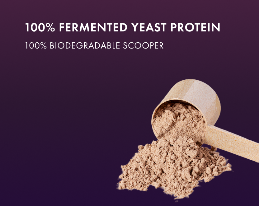 No-Nonsense Fermented Yeast Protein Ratnagiri Mango
