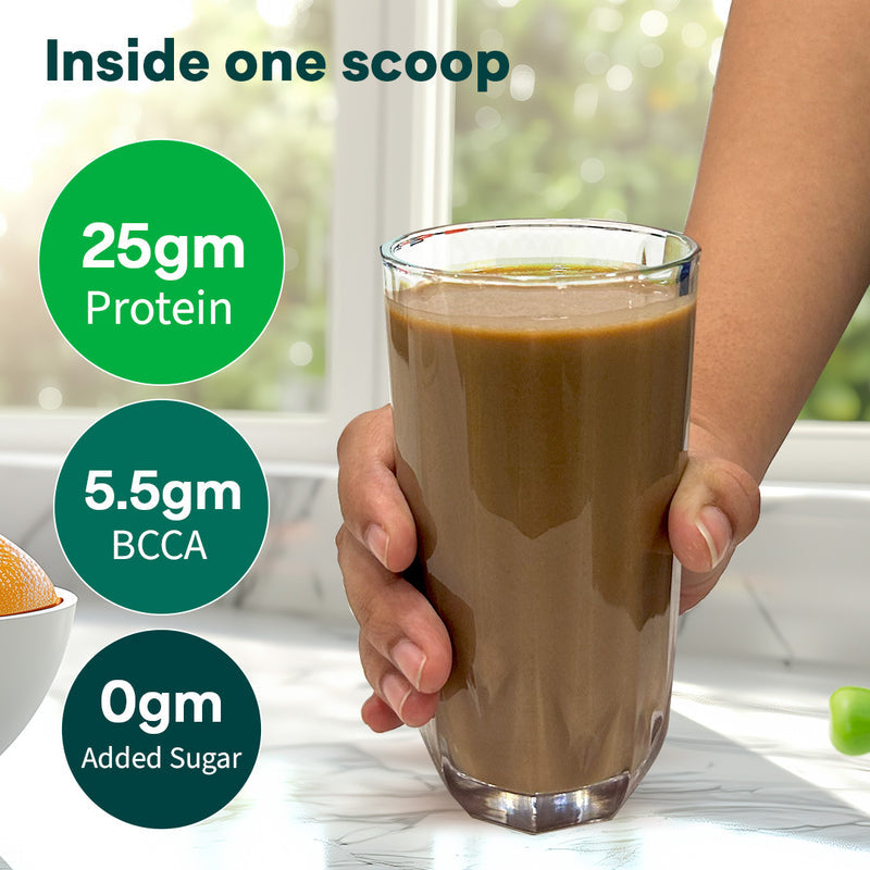 OZiva Bioactive Plant Protein Rich Chocolate 500Gm | OZiva at Broadway