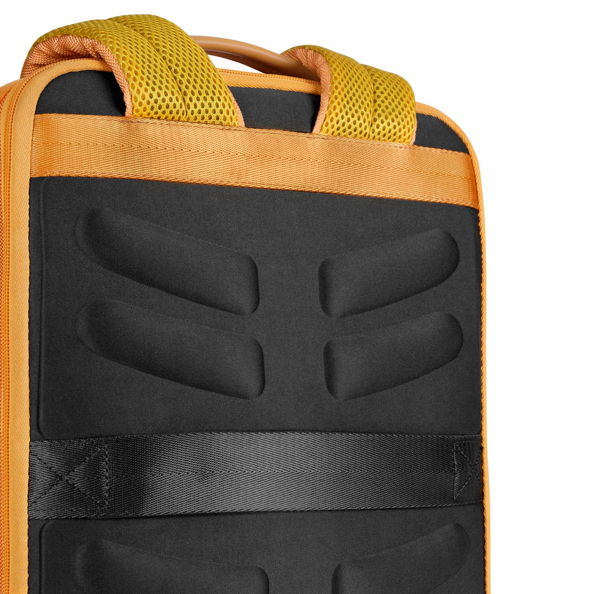Roam Briefpack
