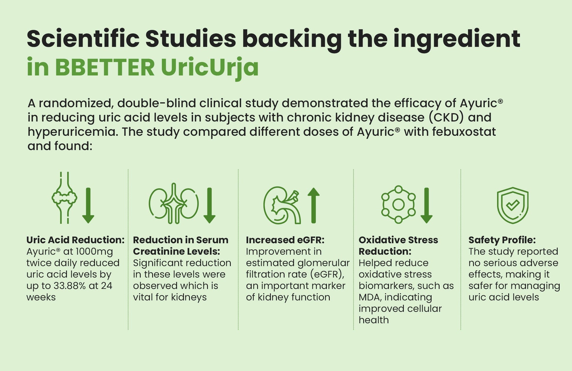 BBETTER UricUrja - With Clinically Proven Ayuric for Gout Pain Relief & Uric Acid Management | Bbetter at Broadway