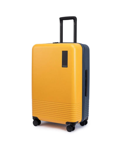 The Check-in Luggage