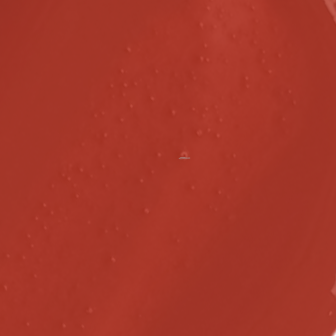 Soft Bloom Lip Tint