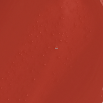 Soft Bloom Lip Tint