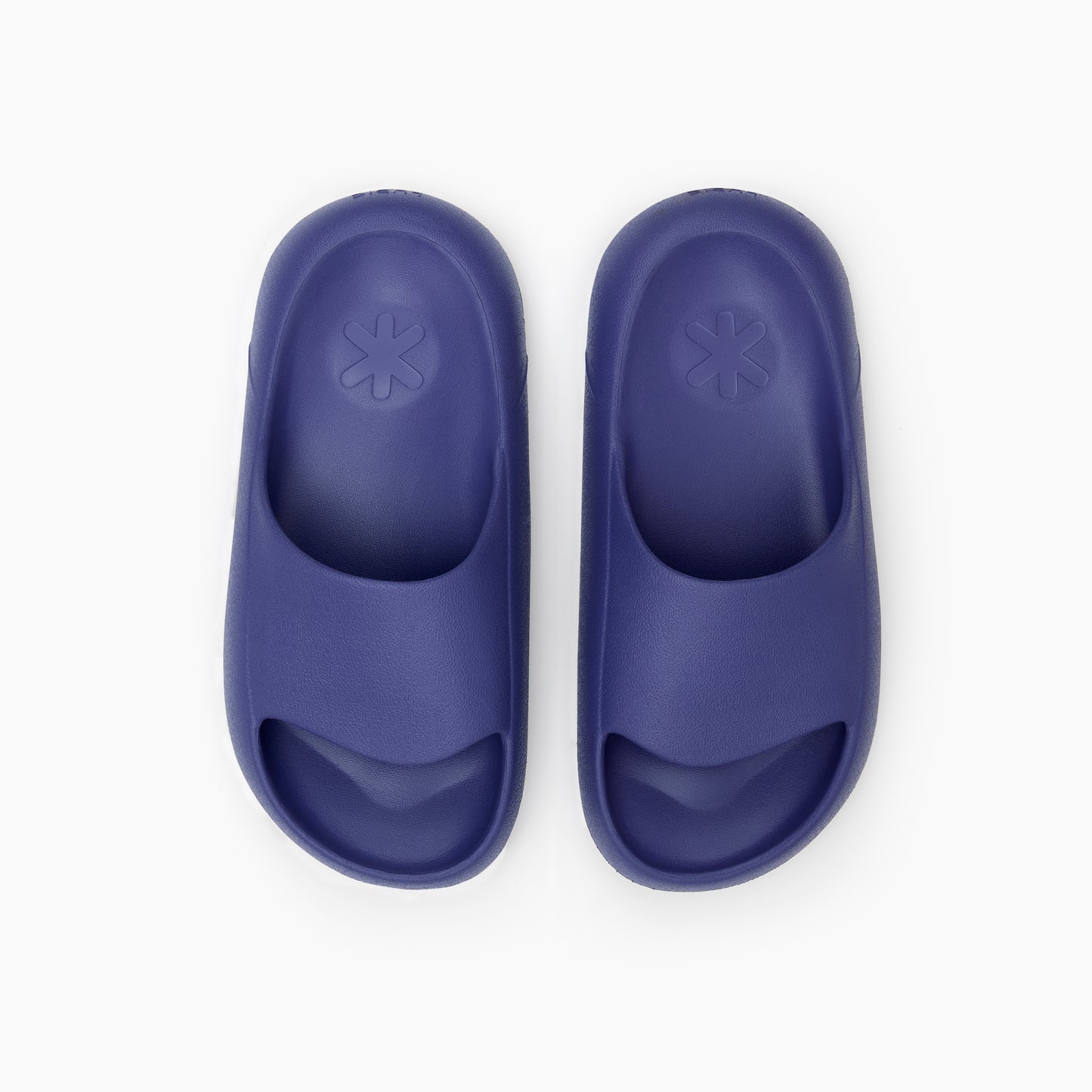 Purple Pyaaz 4L Slides UK
