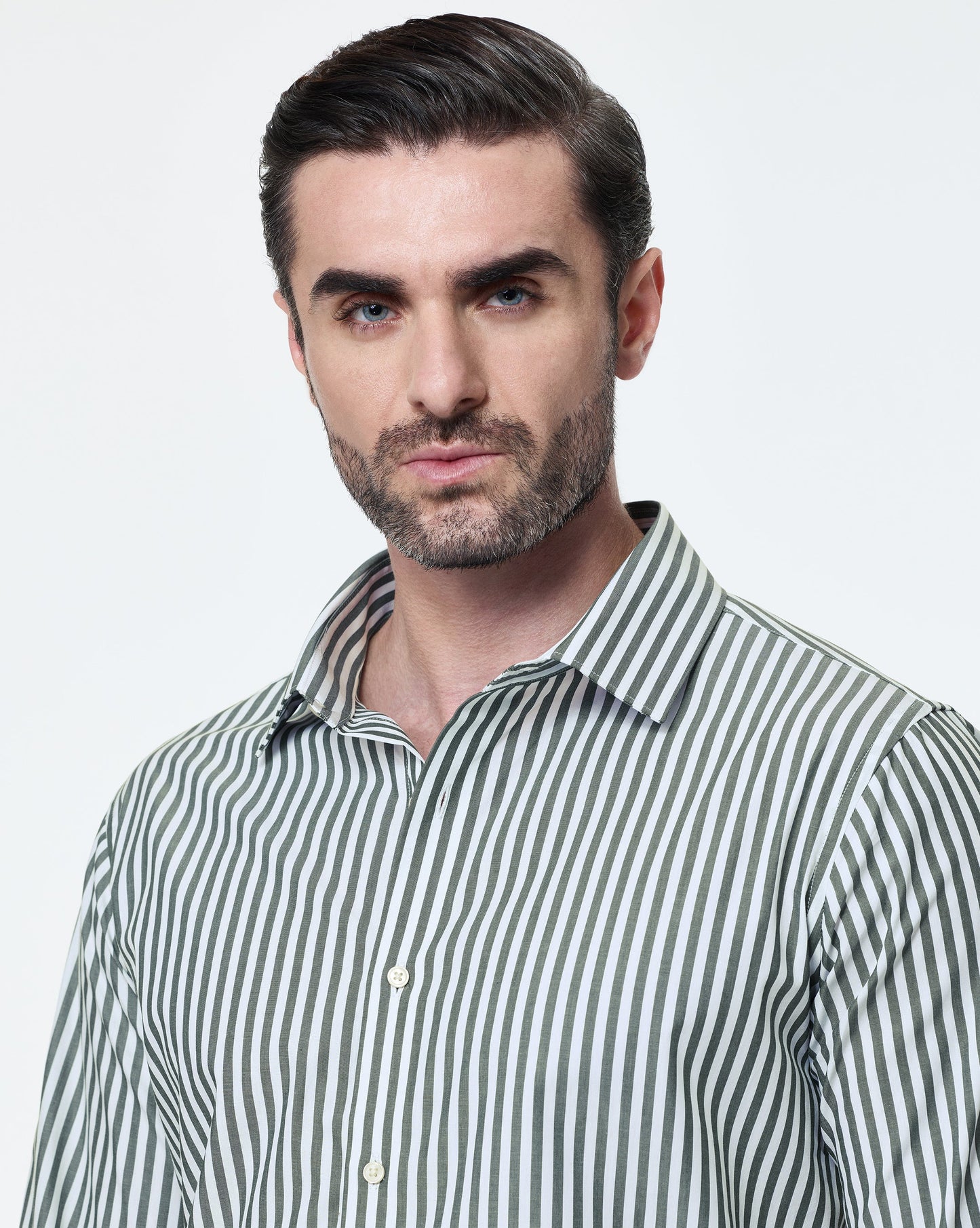The Kingsley Stripes Meadow Dress Shirt