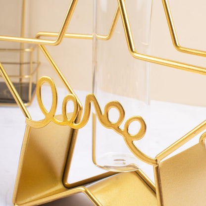 Star Test Tube Planter