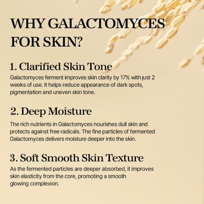 Mixsoon Galactomyces Ferment Essence 100 ml | Mixsoon at Broadway
