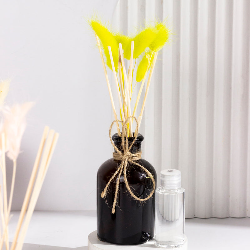 Leila Reed Diffuser