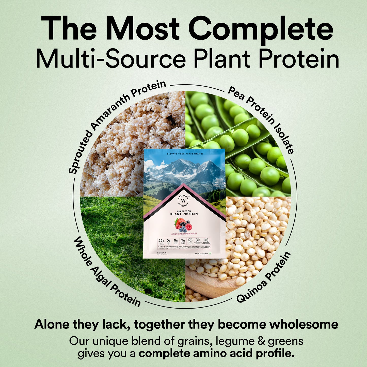 Vegan Protein - Canadian Mixed Berry