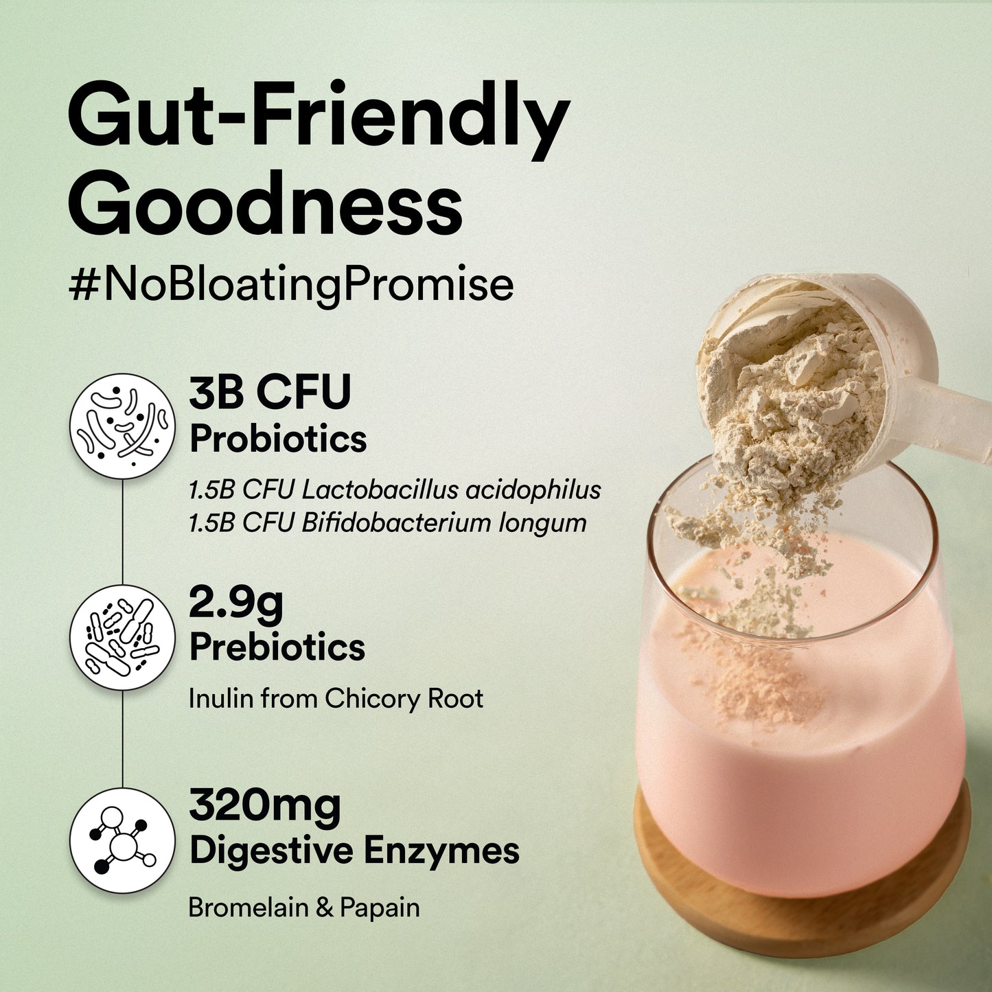 Vegan Protein - Canadian Mixed Berry