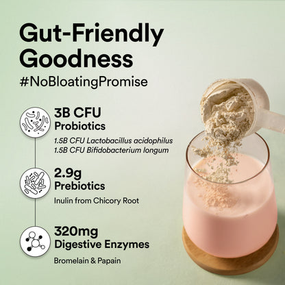 Vegan Protein - Canadian Mixed Berry