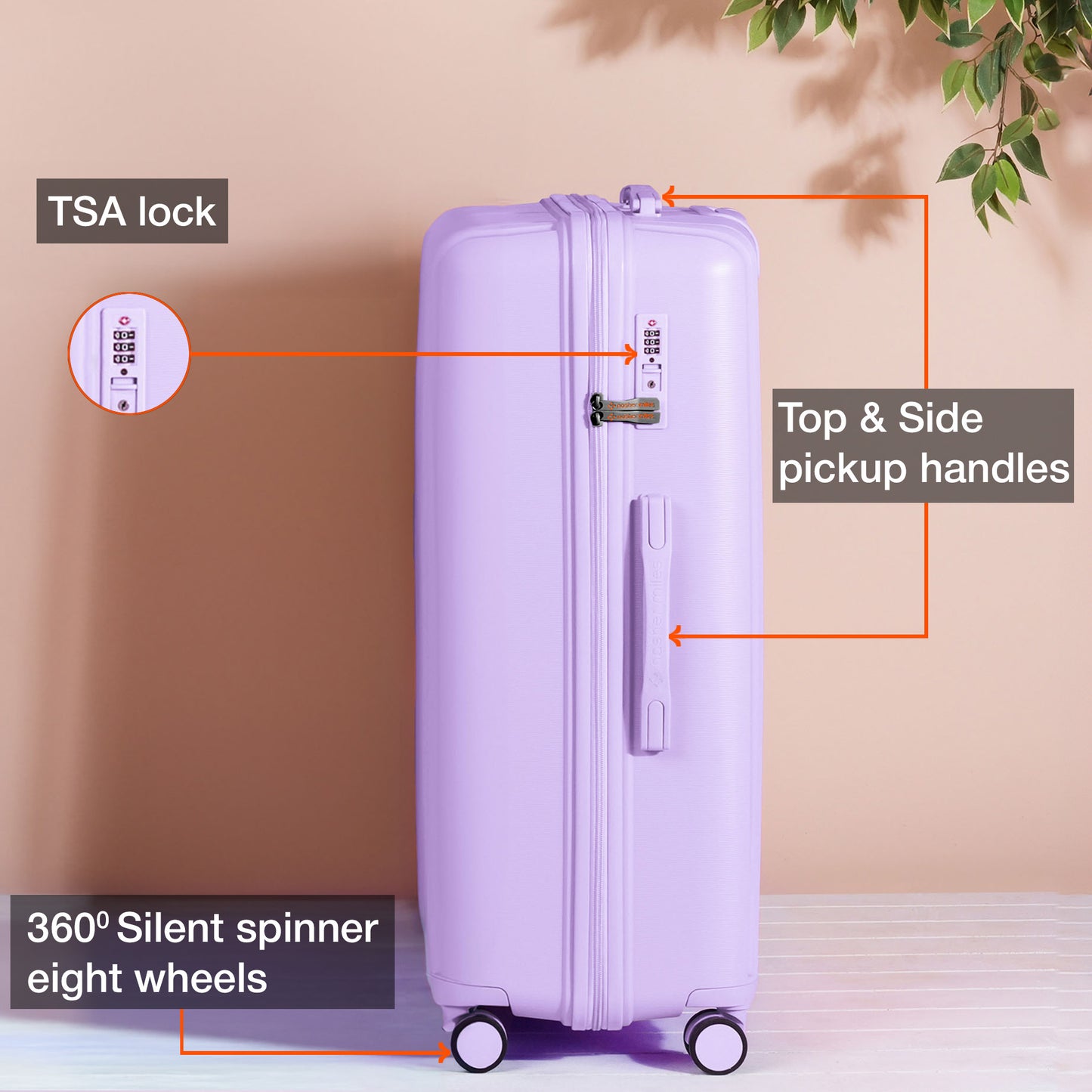 Nasher Miles The Line Hard-Sided Polypropylene Check-in Luggage Purple 24 inch |65 Trolley Bag