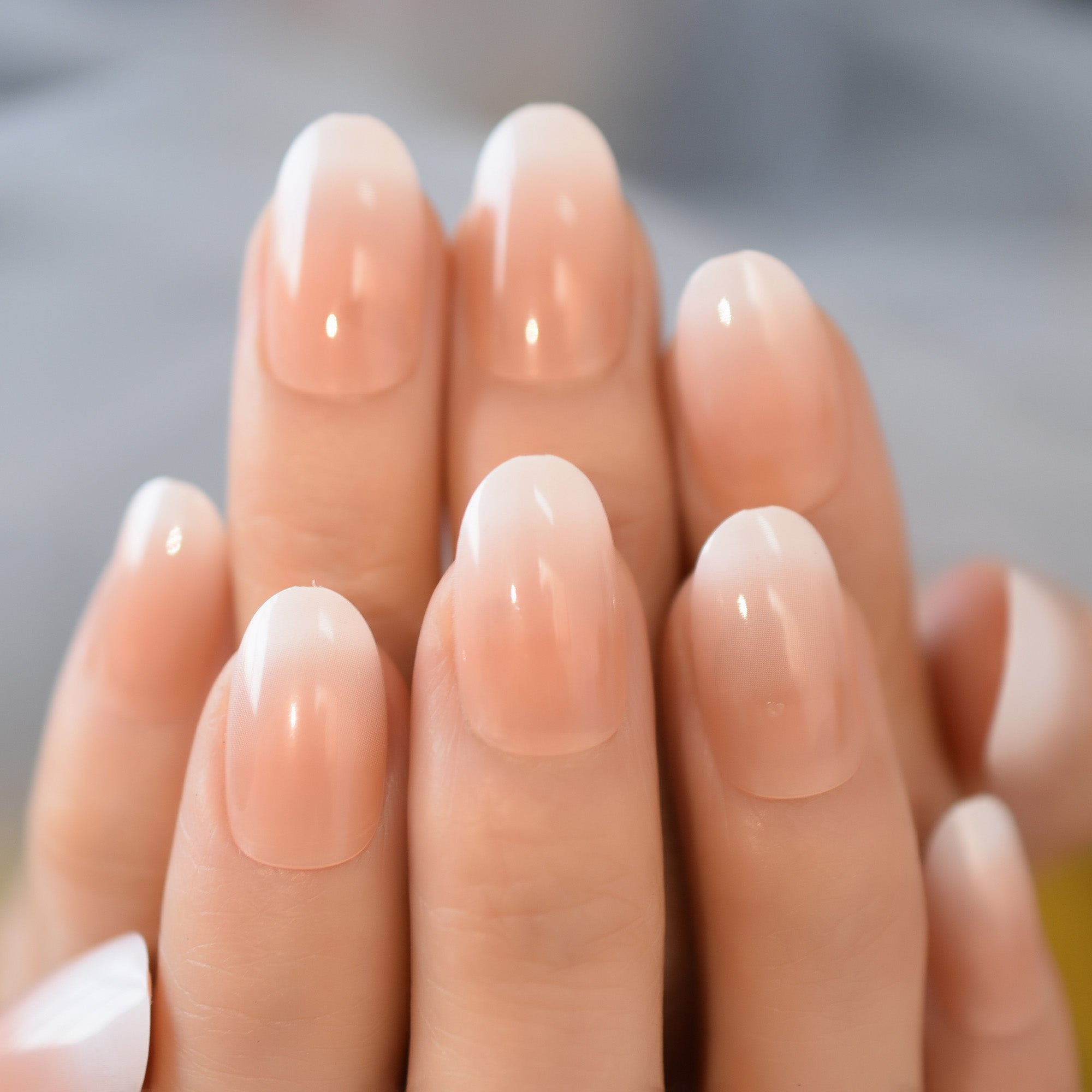 Sugar - Medium Round - Press on Nails | GushBeauty at Broadway