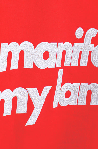 manifestin my lambo.