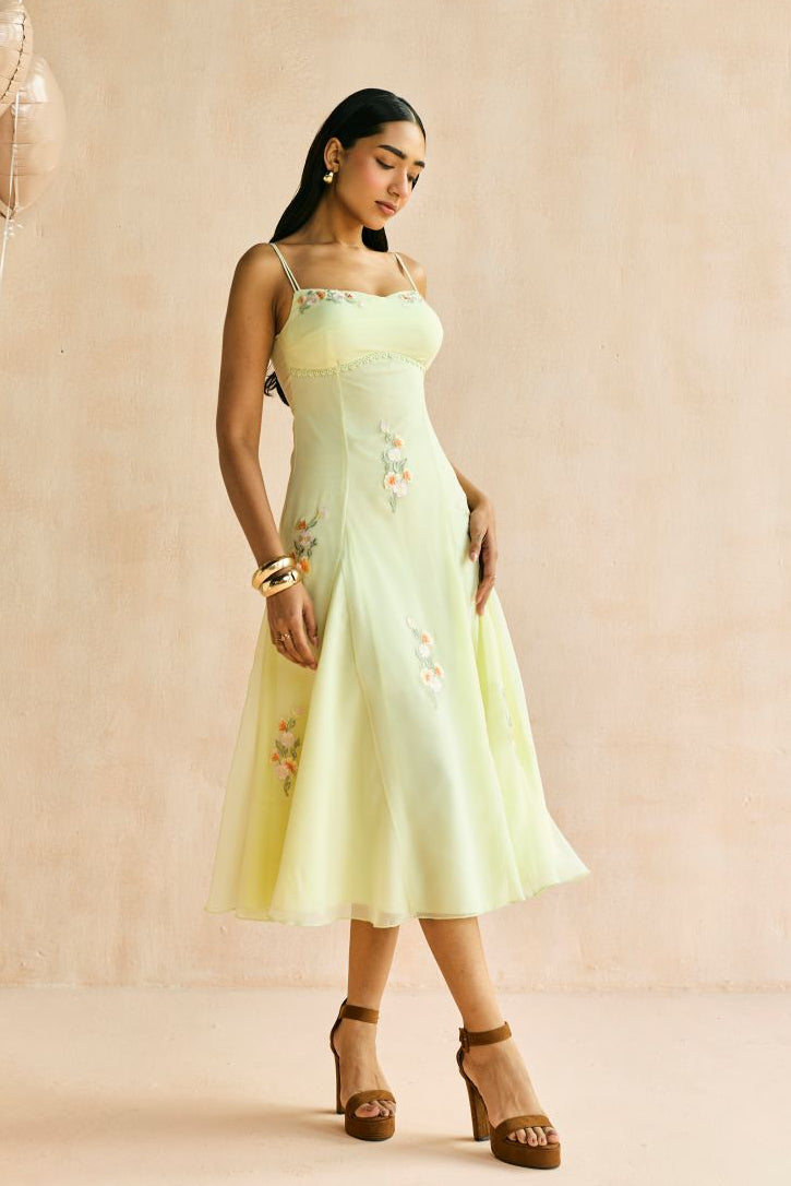 Buttercup Embroidered Godet Midi Dress
