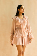 Aviva Blush Ruffle Mini Skirt