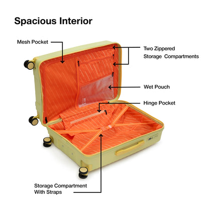 Nasher Miles Havelock TSA Lock and Anti-Theft Hard-Sided Polypropylene Check-in Luggage Green 24 inch |65 Trolley Bag | Suitcase
