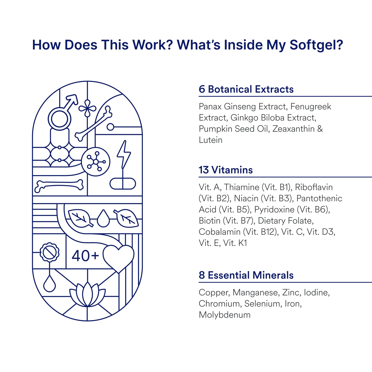 Origins Nutra Multi For Men (40+) | Boost Energy & Metabolism, Immune Support, Bone and Joint Support | Panax Ginseng Extract| GMP Certified | Non-GMO | For Men (40+) | 30 Soft gels.