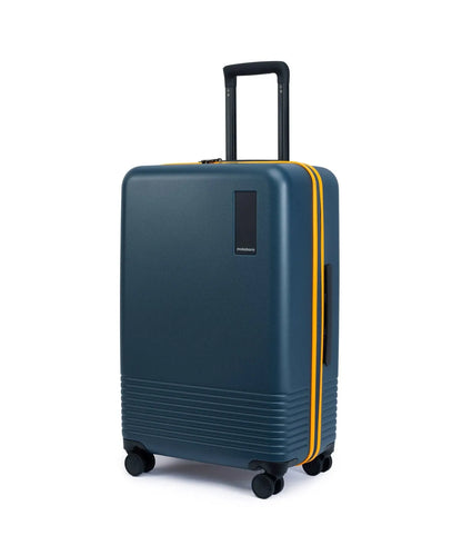 The Check-in Luggage