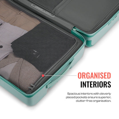Lumolite -Olive-Large | Urban Jungle at Broadway