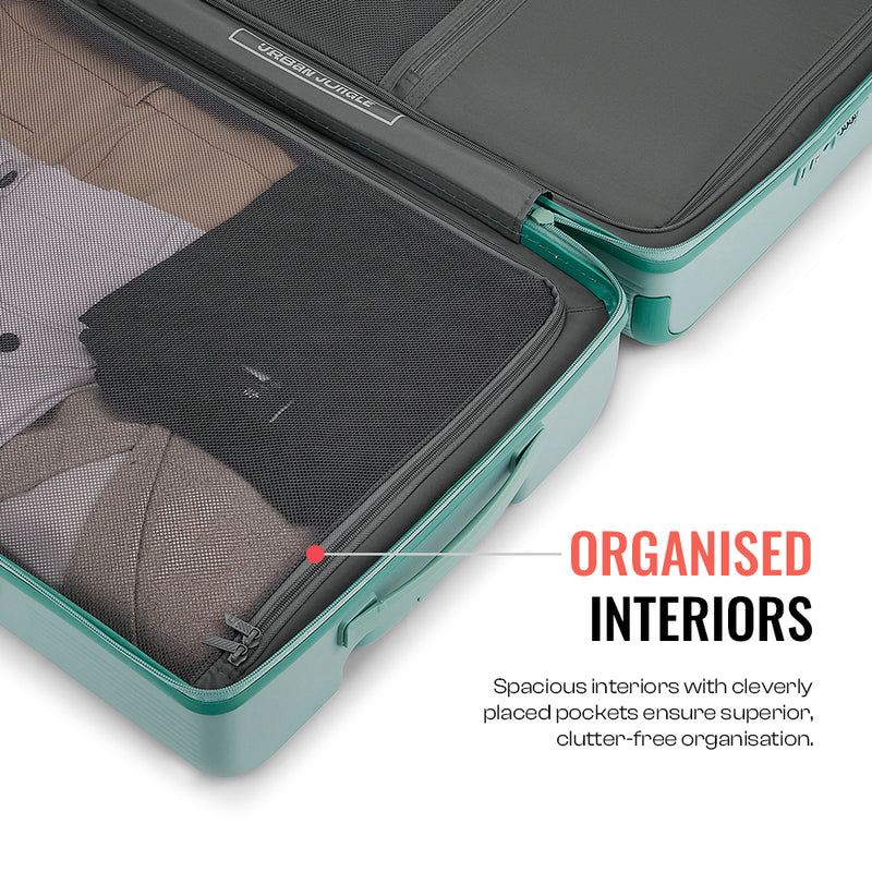 Lumolite -Olive-Medium | Urban Jungle at Broadway