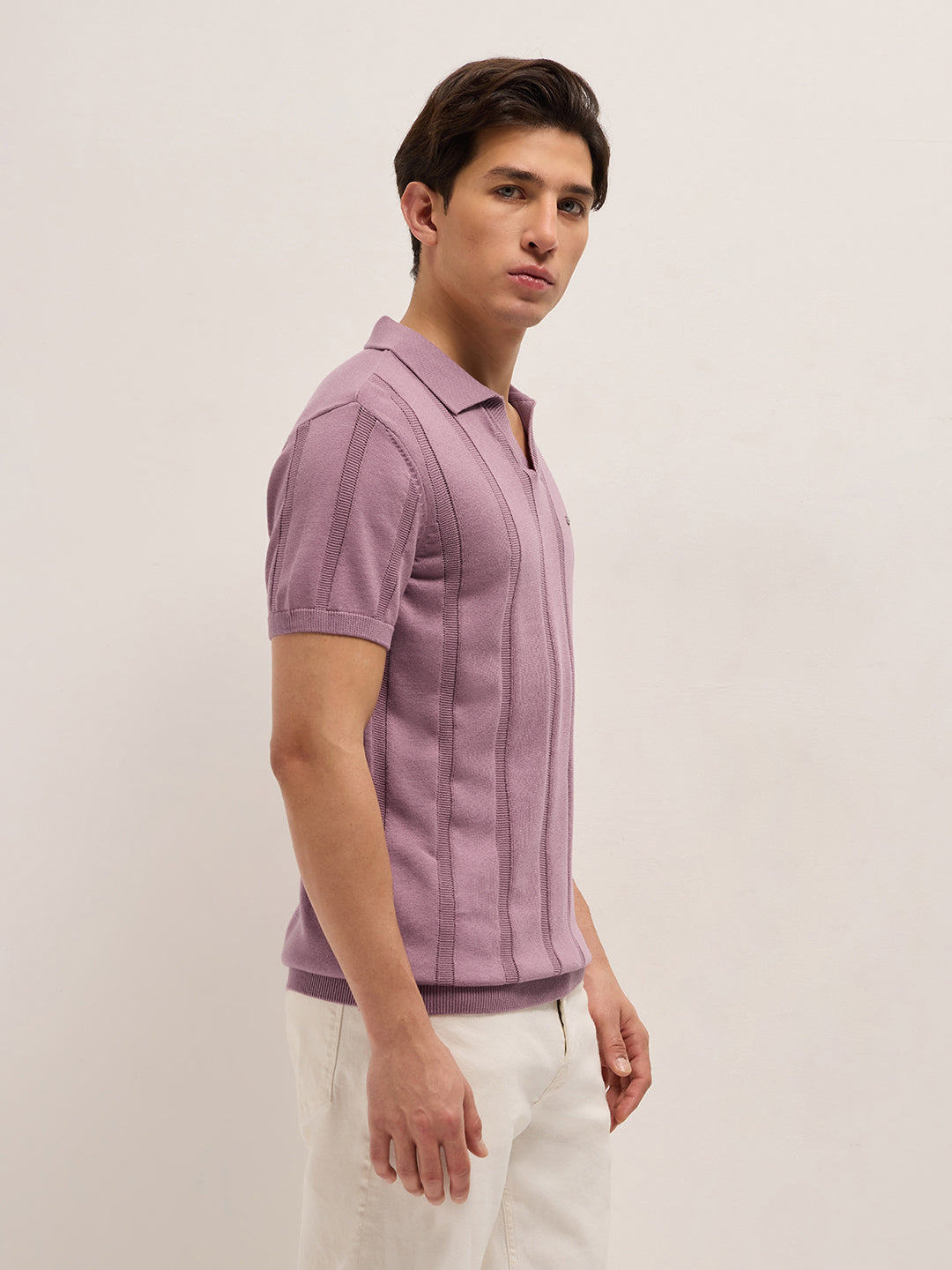 Men Pure Cotton Textured Flat Knit Slim Fit Polo POL-ARLOSK-PK