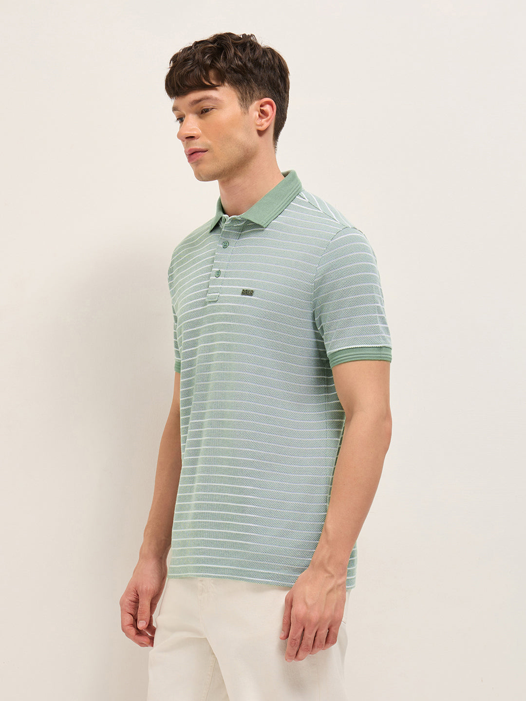 Men Pure Cotton Striped Polo POL-BLOG-GR