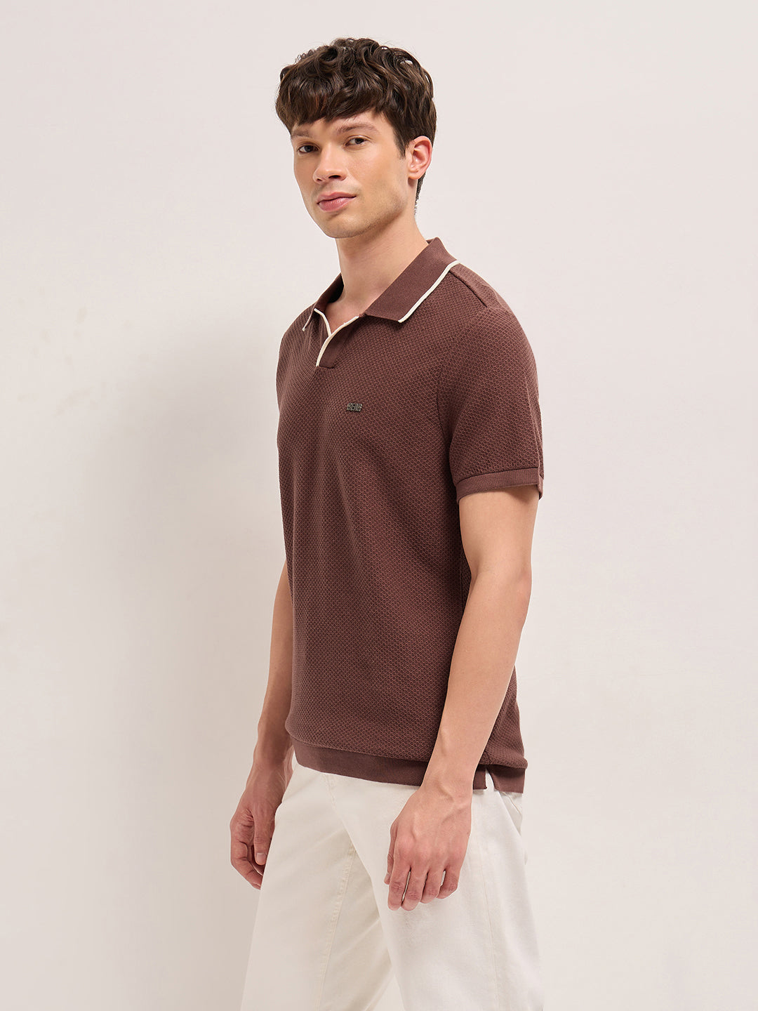 Men Cotton Textured Flat Knit Polo POL-TRACE-BR