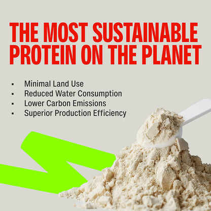 Cold Coffee Fermented Yeast Protein | 500g