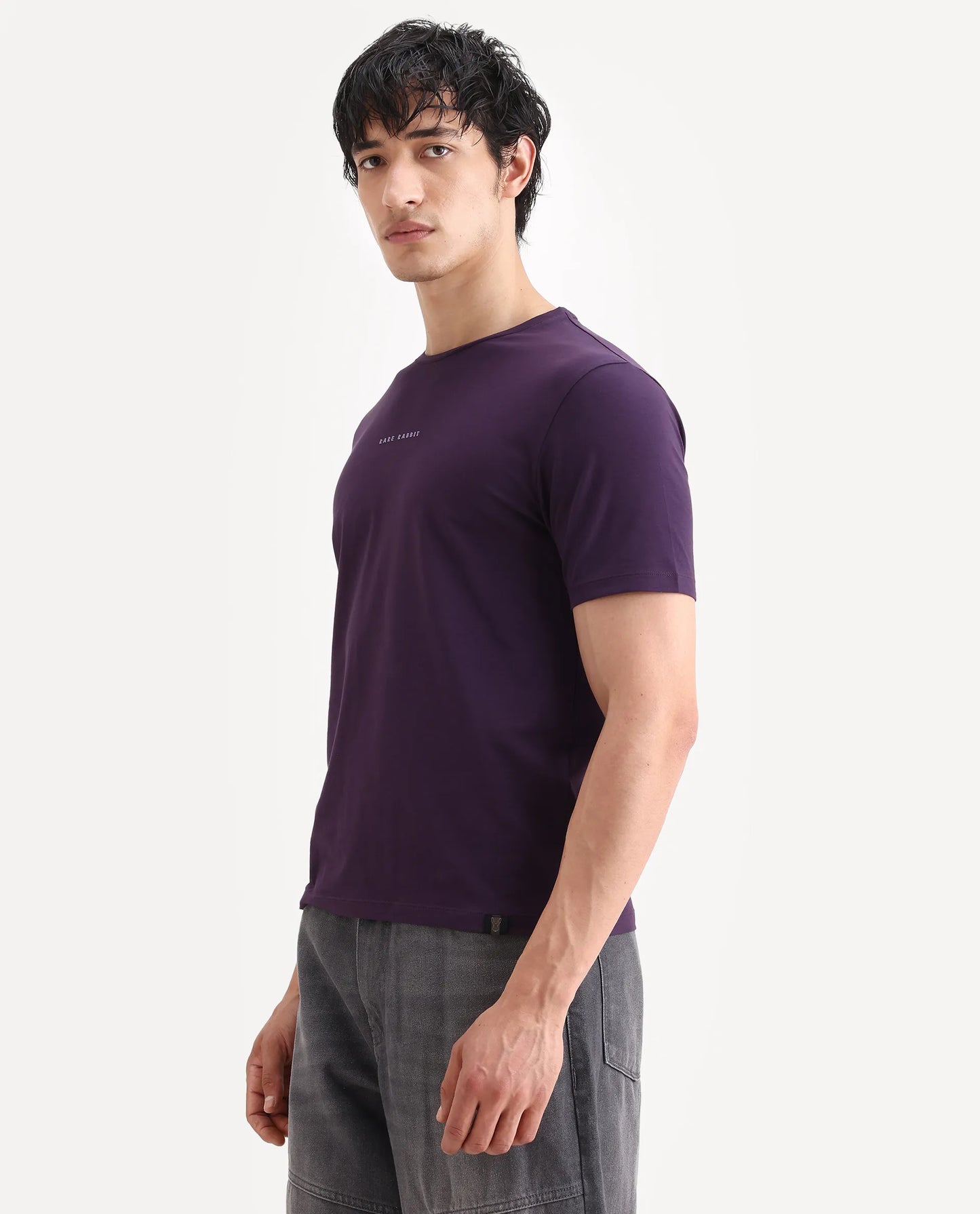 Rare Rabbit Men's Rabbit-S26 Dark Purple Cotton Blend Fabric Half Sleeve Crew Neck Regular Fit Plain T-Shirt