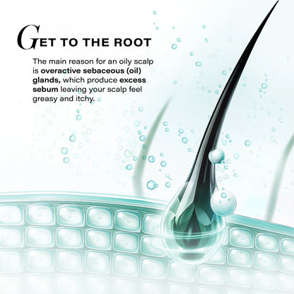 Sebosys Control Scalp Serum for 48hrs Sebum Control, 50ml