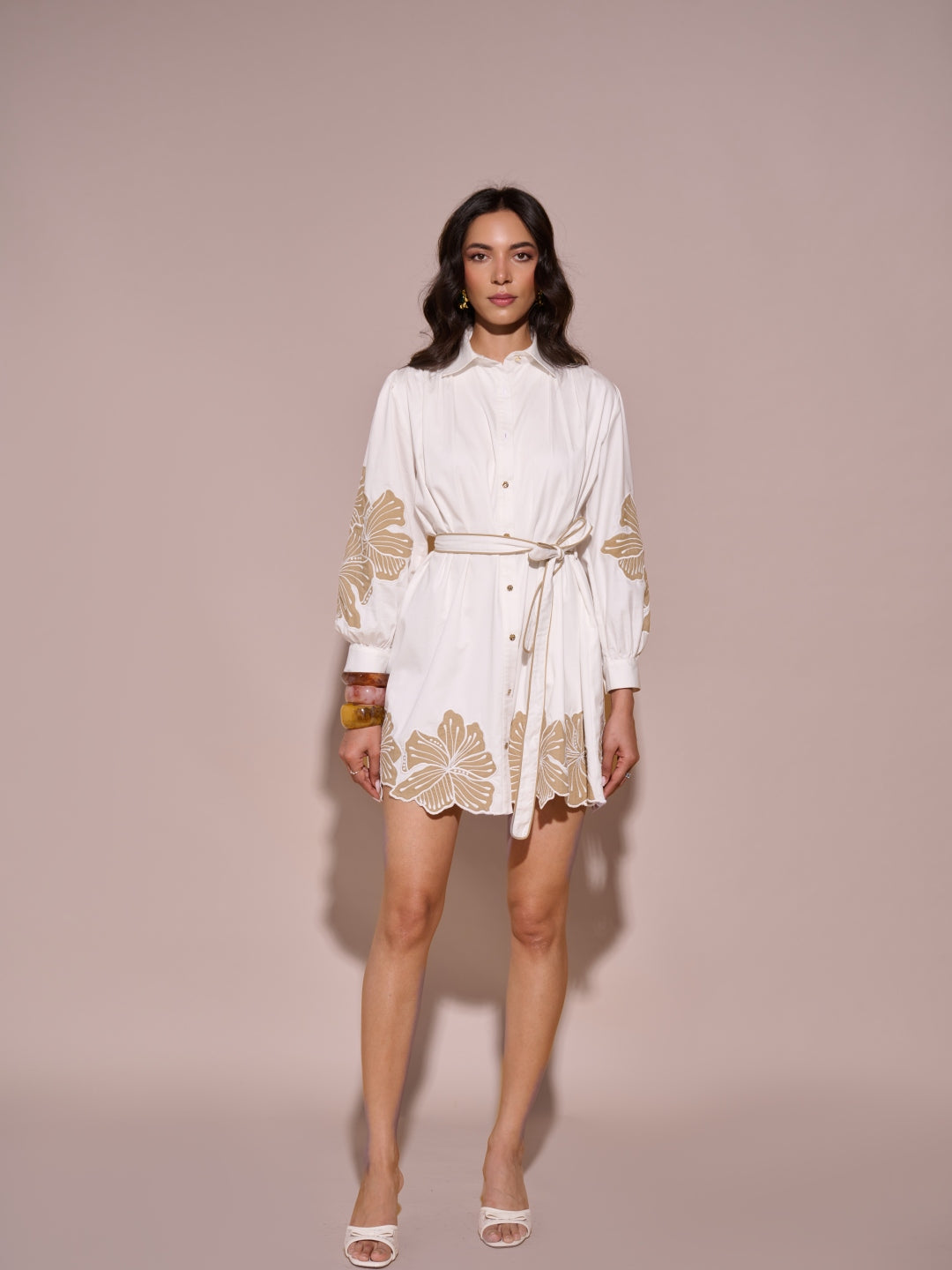 Willow Applique Shirt Dress