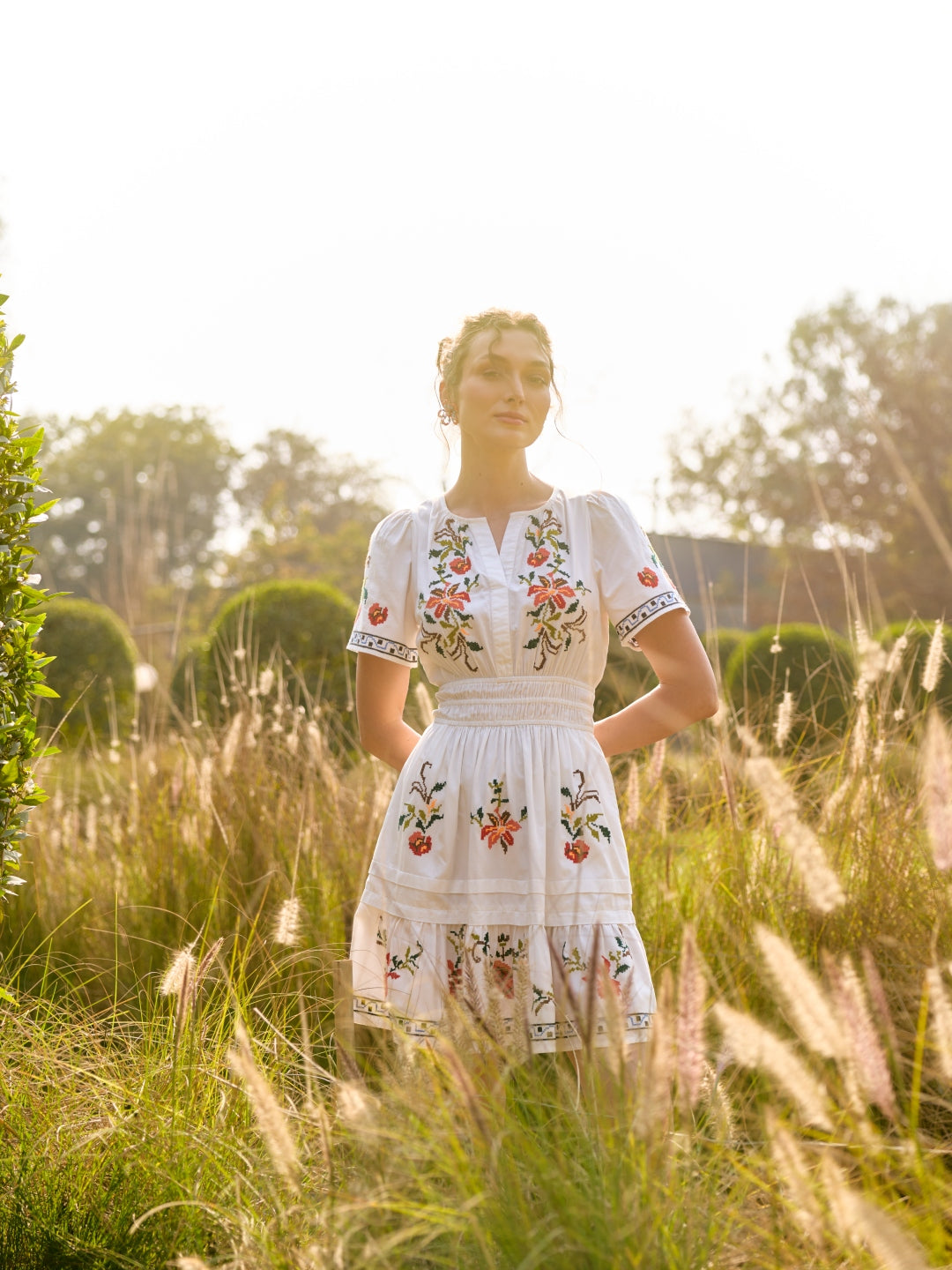 Alice Embroidered Dress