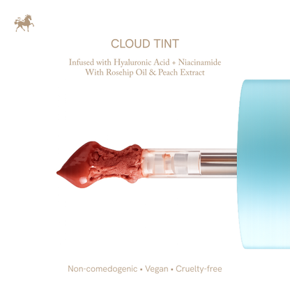 Cloud Tint : Multi Use Cream Tint