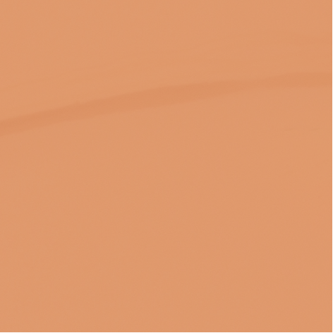 Hydrafit Concealer | Shehed - 2N
