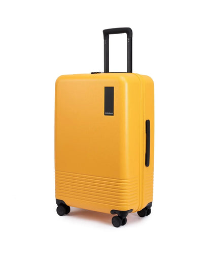 The Check-in Luggage