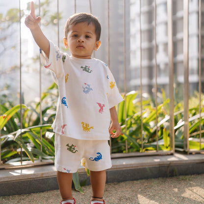 Cotton Tee & Shorts Co-ord Set