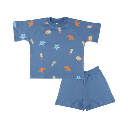 Cotton Tee & Shorts Co-ord Set