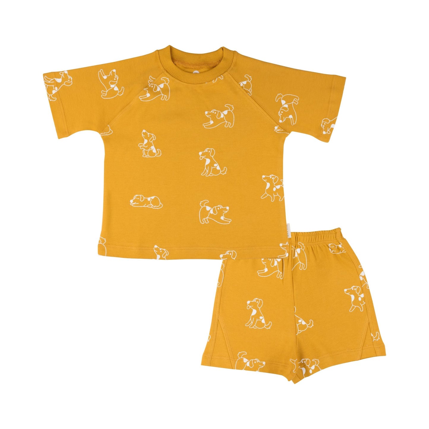 Cotton Tee & Shorts Co-ord Set