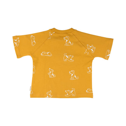 Cotton Tee & Shorts Co-ord Set