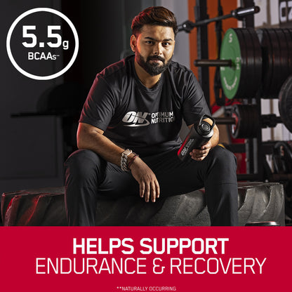 WGS - Double Rich Chocolate