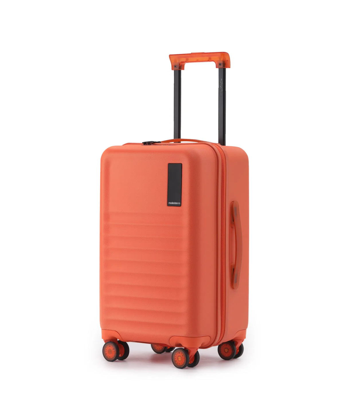 The Aisle Trunk - Cabin