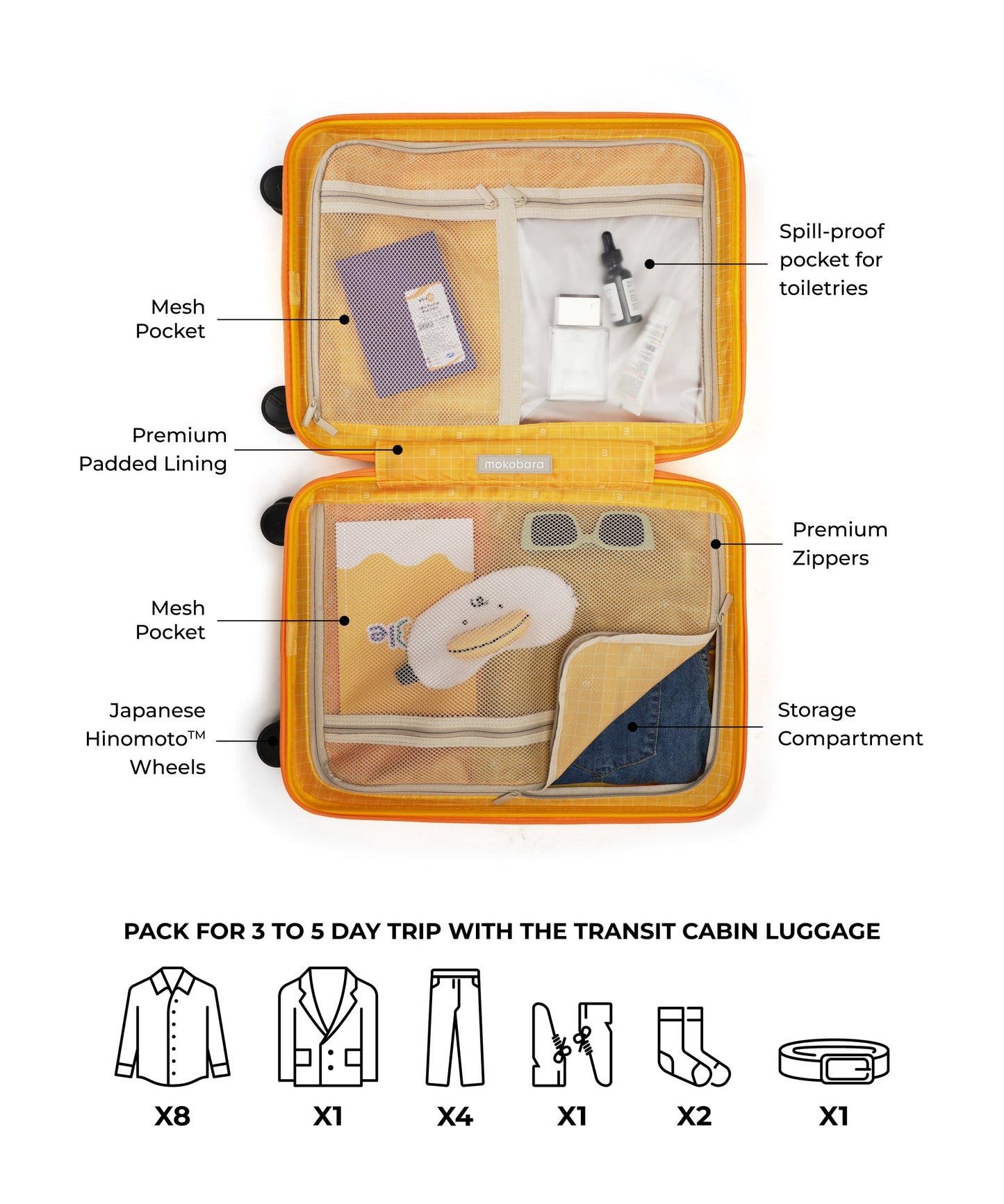 The Transit Luggage - Cabin