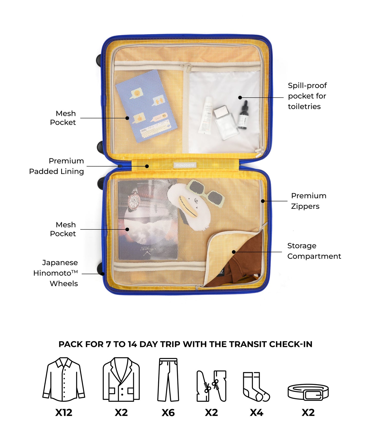 The Transit Luggage - Check-in