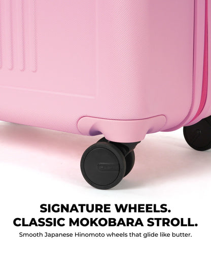 The Transit Luggage - Check-in