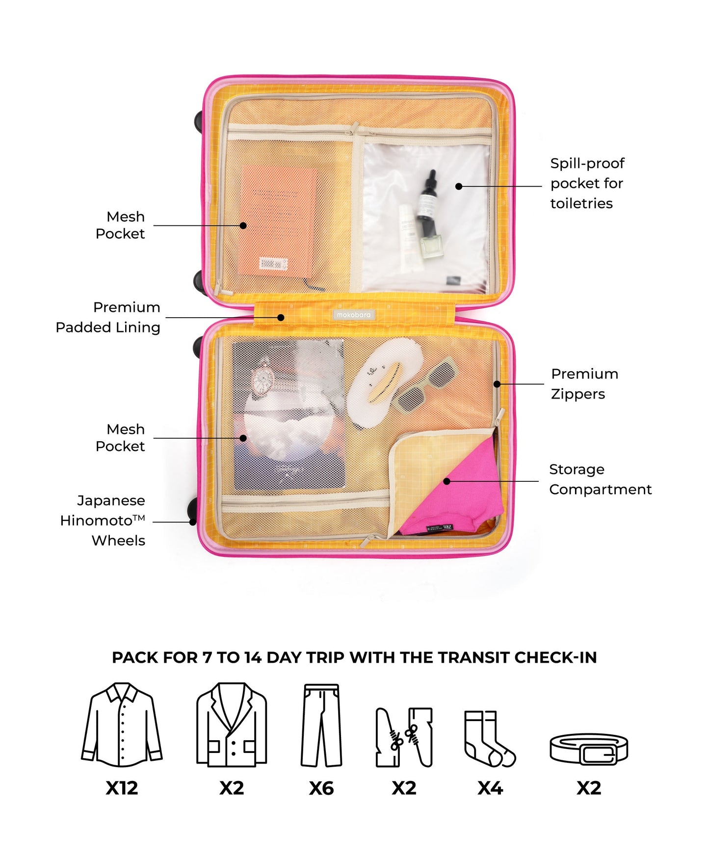 The Transit Luggage - Check-in