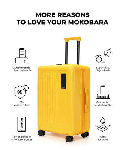 The Transit Luggage - Check-in