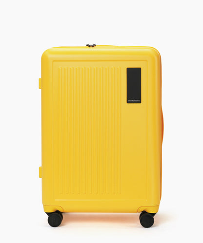 The Transit Luggage - Check-in